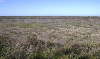 Parcela de terreno rústico en Chiclana de la Frontera (Cádiz)